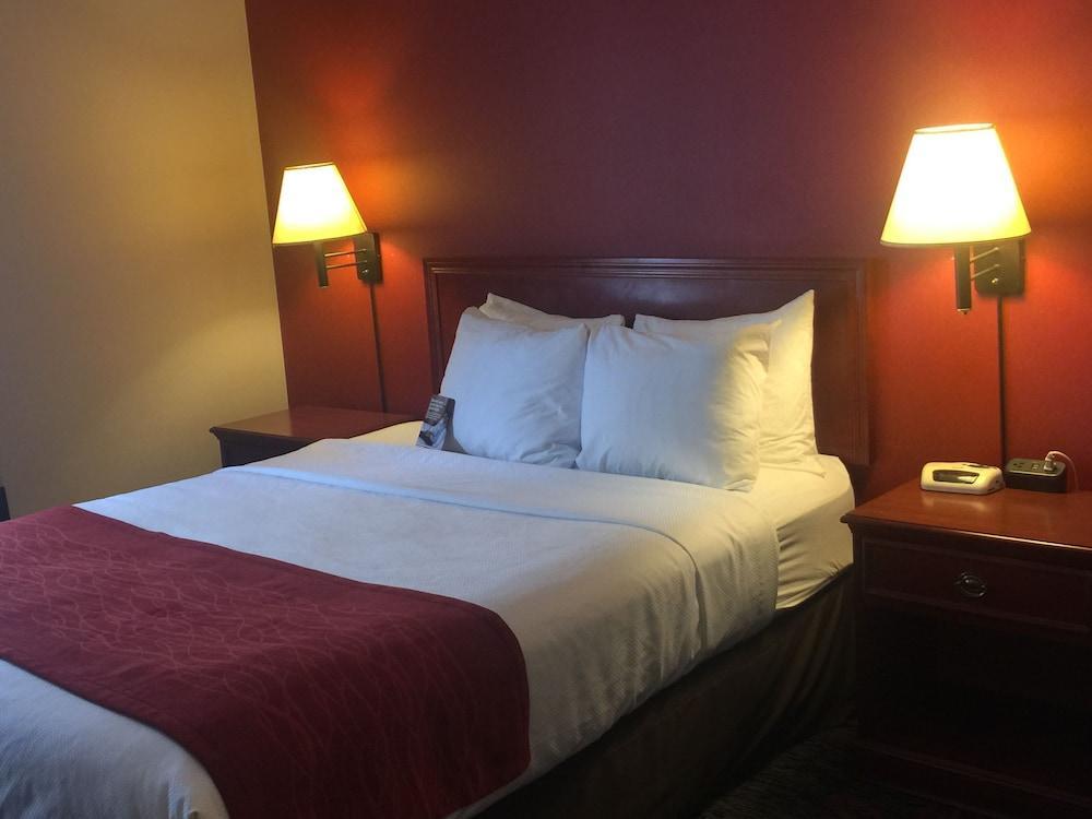 Comfort Inn & Suites University YYC Екстериор снимка